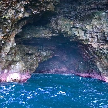 Kauai Sea Tours - Boating Near Me - Eleele, Hawaii