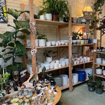 Fiddle & Fern - Inside - Nurseries & Gardening Near Me - Downtown Ventura, California Fiddle & Fern - Inside - Nurseries & Gardening Near Me - Downtown Ventura, California