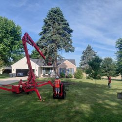 Husky Tree Service