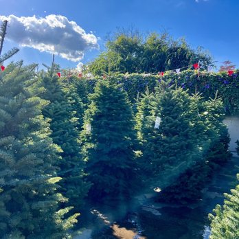 Armstrong Garden Centers - Nurseries & Gardening Near Me - Sherman Oaks, California