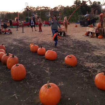 Lil Tommy's Pumpkin Patch - Festivals Near Me - Ventura, California Lil Tommy's Pumpkin Patch - Festivals Near Me - Ventura, California
