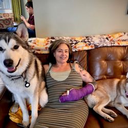 Barn Bluff - The difference between a Malamute and a Husky