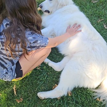 Fuzz Monsters Pet Grooming - Pet Groomers Near Me - Citrus Heights, California Fuzz Monsters Pet Grooming - Pet Groomers Near Me - Citrus Heights, California