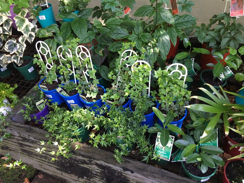 WALDECKS BENTLEY 12 Photos 75 Manning Rd, Bentley Western Australia