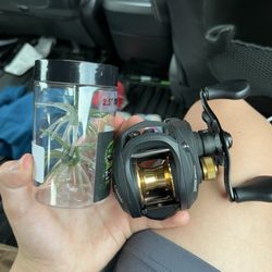 Bait caster and fuzzy baits
