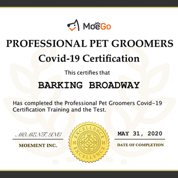 Barking Broadway - COVID-19 Certification - Pet Groomers Near Me - Mayfield Heights, Ohio