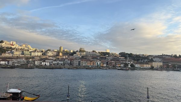 Pestana Vintage Porto by null