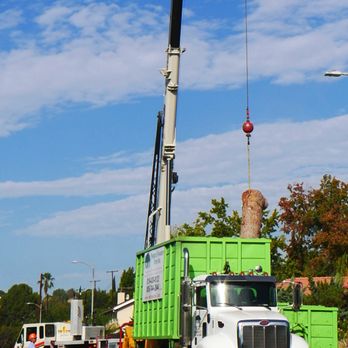 Natural Wonders Trees - Tree Services Near Me - Canoga Park, California Natural Wonders Trees - Tree Services Near Me - Canoga Park, California