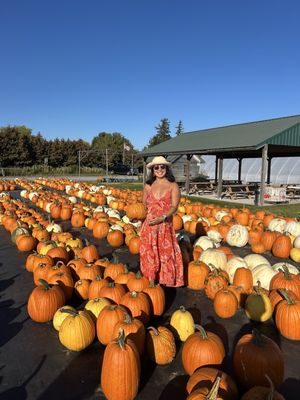 Rulfs Orchard by null