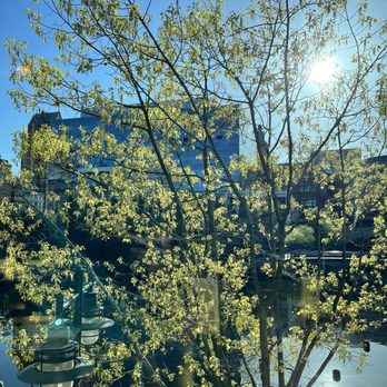 Jacky's Waterplace - Wonderful view out the window - Sushi Bars Near Me - Providence, Rhode Island