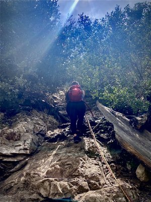 Trail Canyon Falls by null