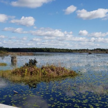 Split Oak Forest - Hiking Near Me - Orlando, Florida