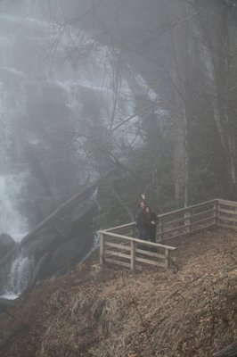 Gorges State Park by null