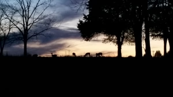 James River State Park by null