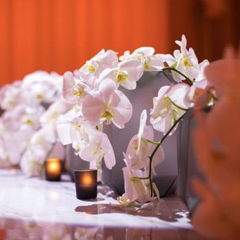 Plan Design Events - Wedding Planning Near Me - Miami, Florida Plan Design Events - Wedding Planning Near Me - Miami, Florida