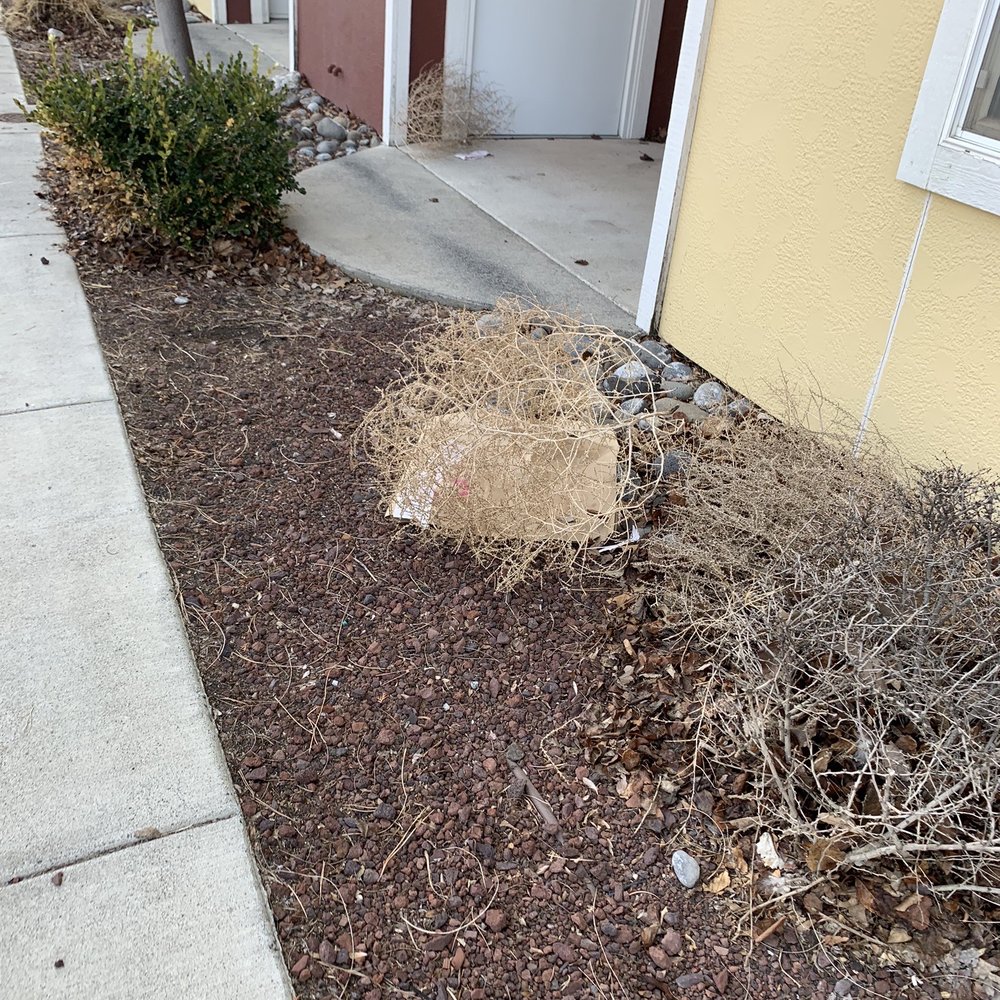 The Vintage - Trash - Apartments Near Me - Moses Lake, Washington