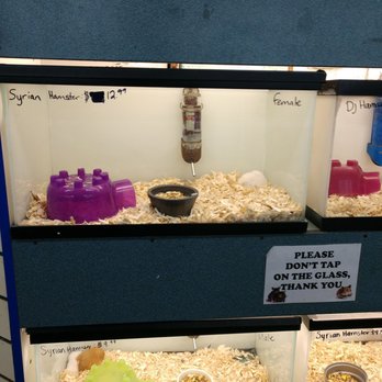 Whitie's Pets - Local Fish Stores Near Me - Fresno, California Whitie's Pets - Local Fish Stores Near Me - Fresno, California