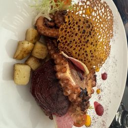 Octopus Octopus