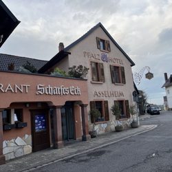 Pfalzhotel Asselheim - Blick von außen