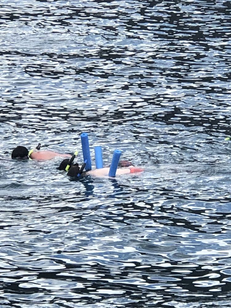 CALYPSO CHARTERS 165 Photos & 157 Reviews Snorkeling 101 Maalaea