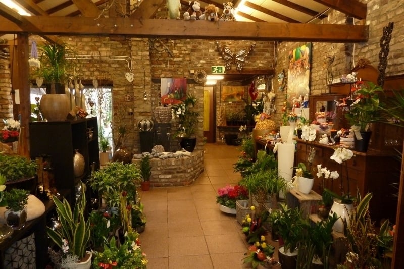 BLOEMISTERIJ SOUR VOF 11 Photos Heugemerstraat 251, Maastricht