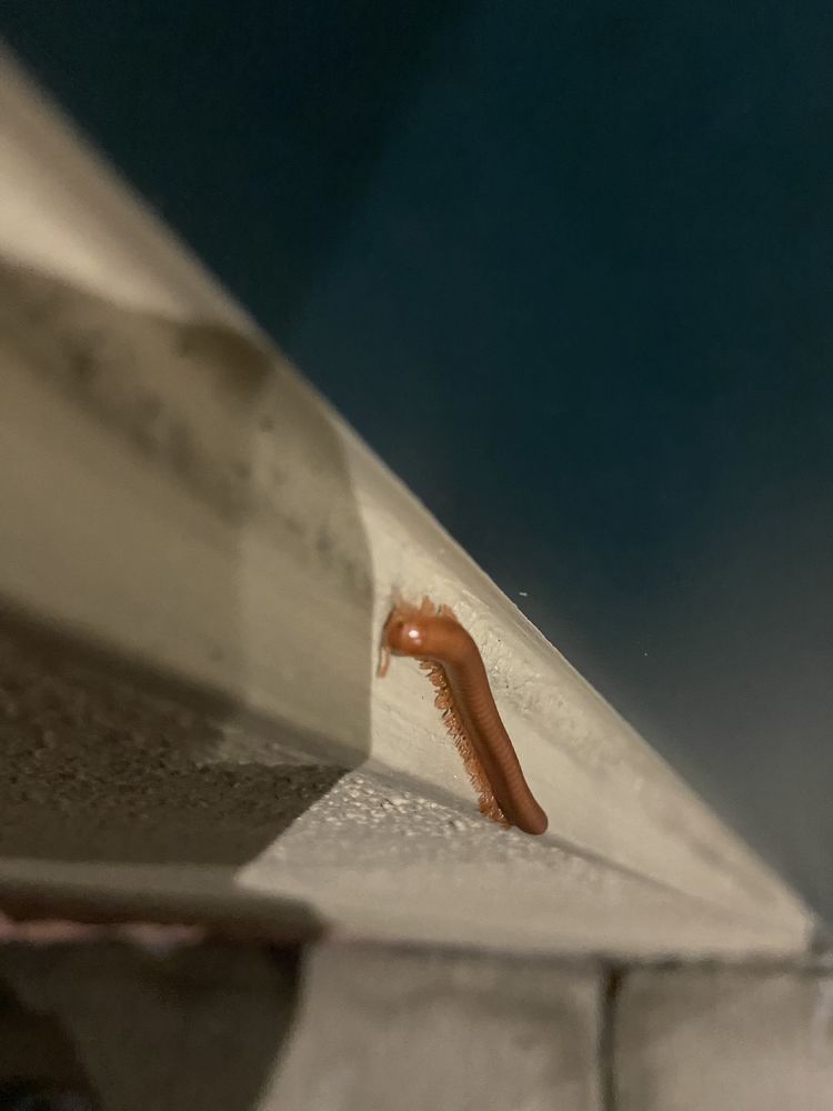 PUBLIX SUPER MARKETS LOCATIONS IN BRADENTON FL visual data 7