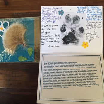 Kapolei Pet Hospital - The staff sent a handwritten condolence card, Scruffy's paw print, and a snip of fur. We were so touched by this sweet gesture. - Veterinarians Near Me - Kapolei, Hawaii