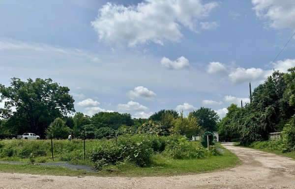 Boggy Creek Farm by null