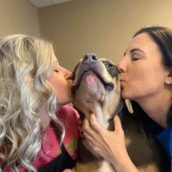 Fetch on Franklin - Our groomer Hayley and owner/groomer Lindsey will love your pet like their own! - Pet Groomers Near Me - Evansville, Indiana