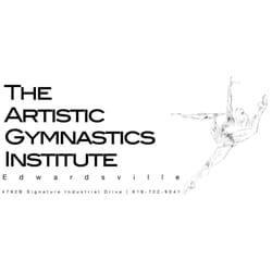 Artistic Gymnastics Institute