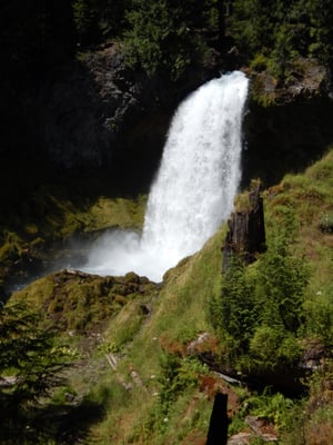 McKenzie Pass by null