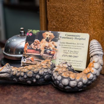 Community Veterinary Hospital - Veterinarians Near Me - Largo, Florida Community Veterinary Hospital - Veterinarians Near Me - Largo, Florida