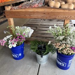 Dave's Fresh Produce