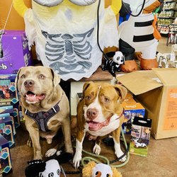 Ace Hardware Of South Pasadena - Halloween Decor