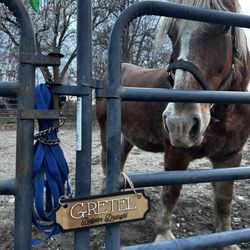 Equine Escape - Sweet Gretel!