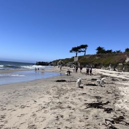 Nice .70 mile Long Beach to run across Nice .70 mile Long Beach to run across