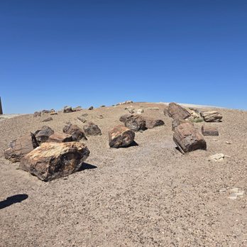 Petrified Forest National Park - Parks Near Me - Petrified Forest, Arizona
