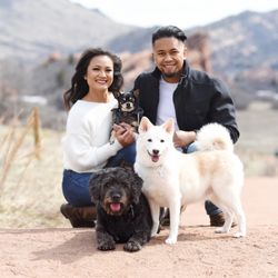 Wag Your Tail Photography - Beautiful example of how Christina and John were able to get all three dogs to cooperate for the perfect shot