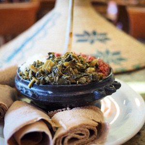 Explore: Orlando 🎢