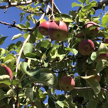 Outhouse Orchards - Fruits & Veggies Near Me - North Salem, New York