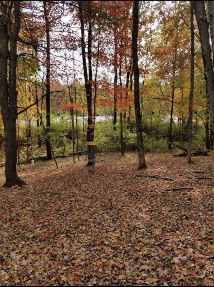 BITTERSWEET RIDGE DISC GOLF Updated July 2024 383 Gray Rd, North