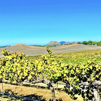 Danza del Sol Winery - Wine Tours Near Me - Temecula, California Danza del Sol Winery - Wine Tours Near Me - Temecula, California