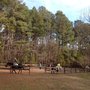 Photo of Oakwood Stables