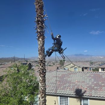 WestCo Tree Service - Tree Trimming - Tree Services Near Me WestCo Tree Service - Tree Trimming - Tree Services Near Me