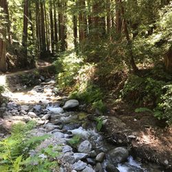 Namaste Therapeutic Bodyworks - The creek running next to our private location