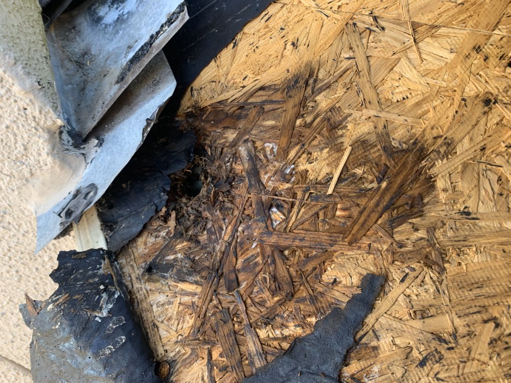 Slide of TX Elite Roofing & Rodent Exclusion Services