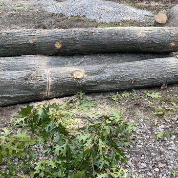 Irish Hills tree removal - Firewood Near Me Irish Hills tree removal - Firewood Near Me