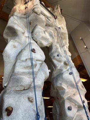 REI Bike Shop by null