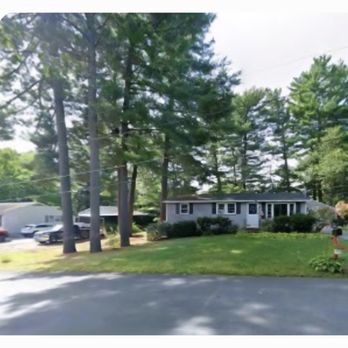 Professional Tree Service - Months before photo - Tree Services Near Me
