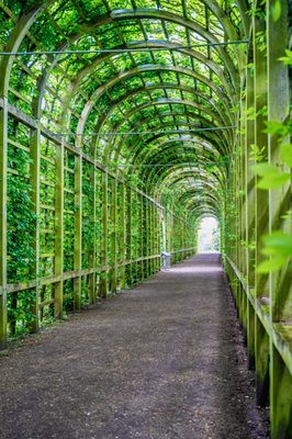 Hampton Court Palace by null